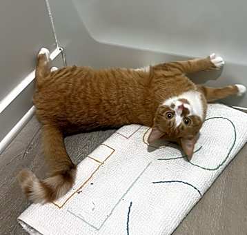 Photo of Reginald