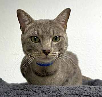 Photo of Quatro
