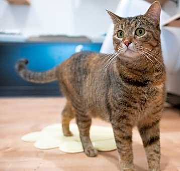 Photo of Carlita