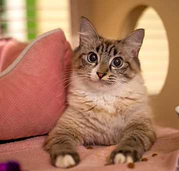 Photo of Amelia