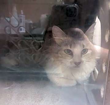 Photo of TNR 1000 Gageway Dr