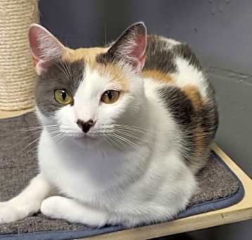 Photo of Lorelai