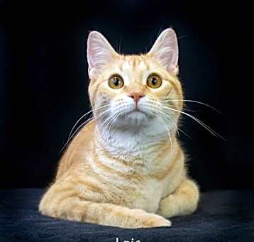 Photo of Lois