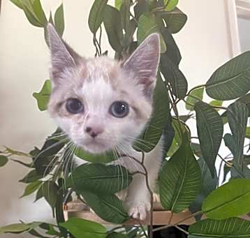 Photo of Sarah
