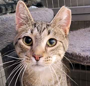 Photo of Jethro