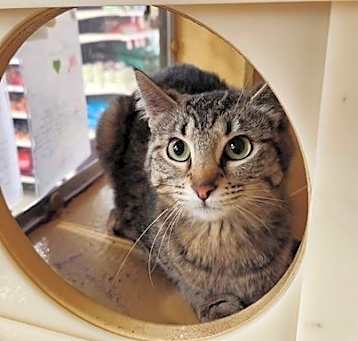 Photo of Tilly