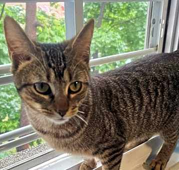 Photo of Sparkle