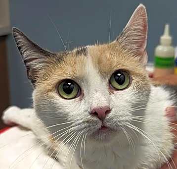 Photo of Charlotte