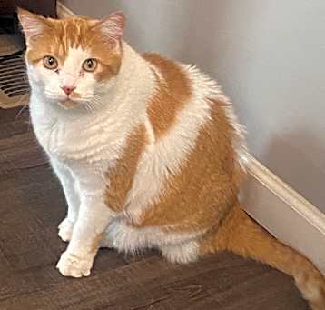Photo of Mikko