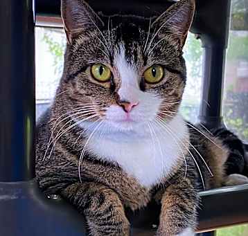Photo of Baily