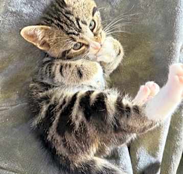 Photo of Quasar