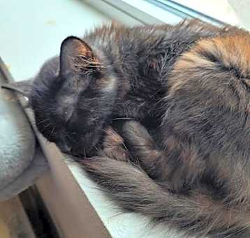 Photo of Lilah
