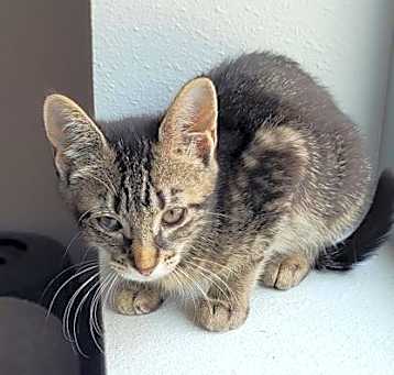 Photo of Lola