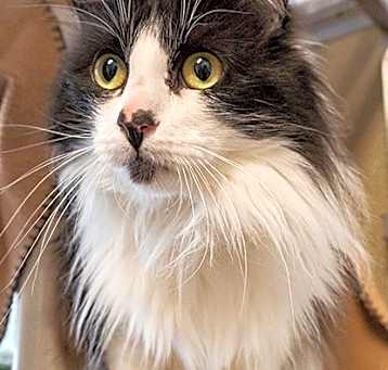 Photo of Kiwi