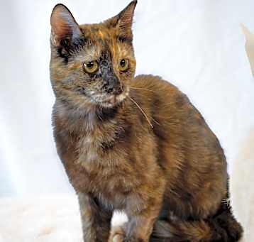 Photo of Sophia