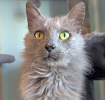 Photo of Claudine