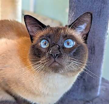 Photo of CiCi 