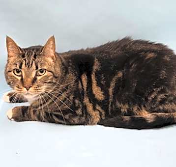 Photo of Marty