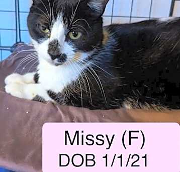 Photo of Missy S.