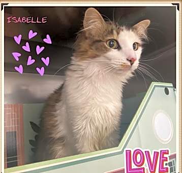 Photo of Isabelle
