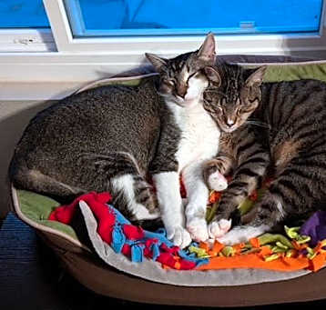 Photo of Hamilton & Franklin
