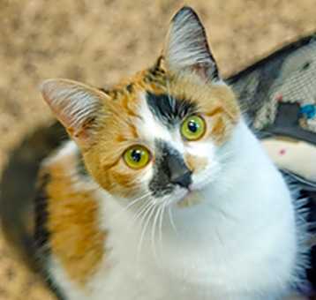 Photo of Kandice