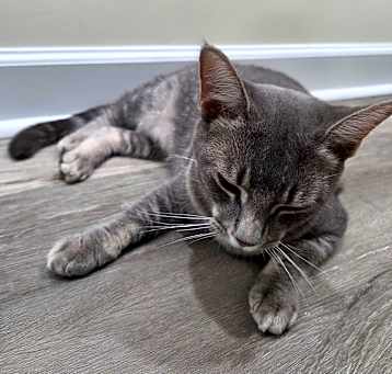 Photo of Lucy