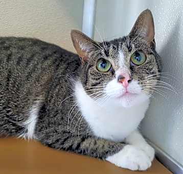 Photo of Kiki
