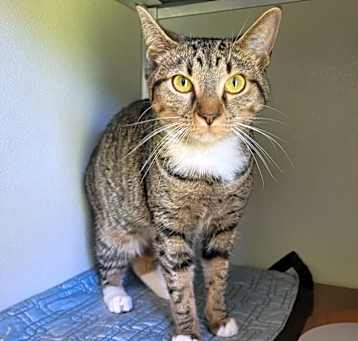 Photo of Kiwi