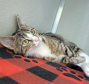 Photo of Meredith