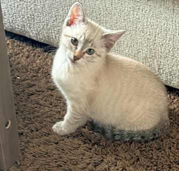 Photo of Marie