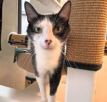 Photo of Marble