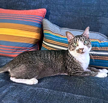 Photo of Ember