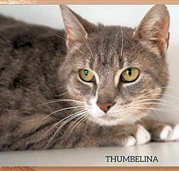 Photo of Thumbelina