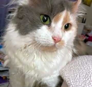 Photo of SNUGGLES