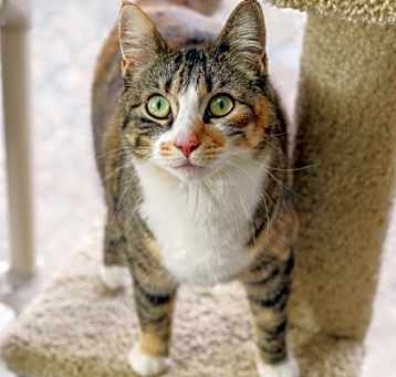 Photo of Baby