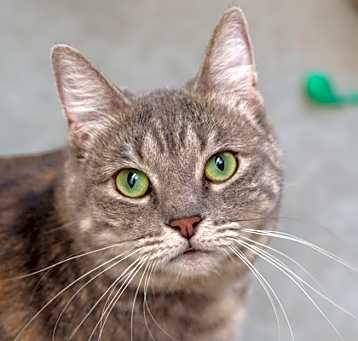 Photo of Kaiya