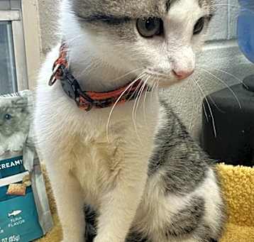 Photo of Jewel