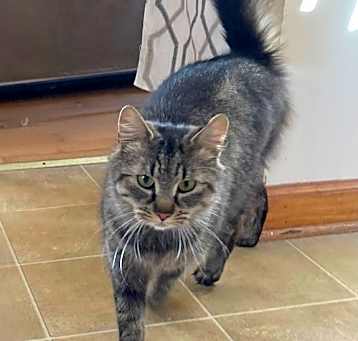 Photo of Blanche
