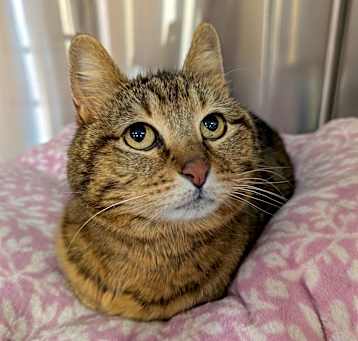Photo of Tinker 