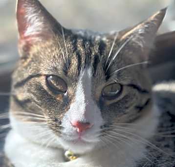 Photo of Aang 91C24