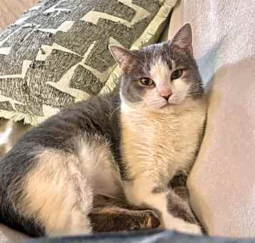 Photo of Miss Lady
