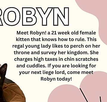 Photo of Robyn