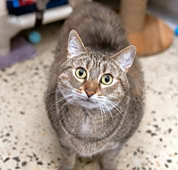 Photo of MIMI