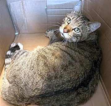 Photo of MOLLY