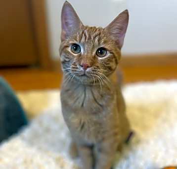 Photo of Cassian
