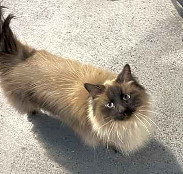 Photo of Harry