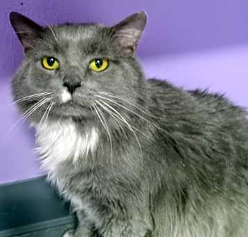 Photo of Tom