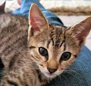 Photo of Marcie