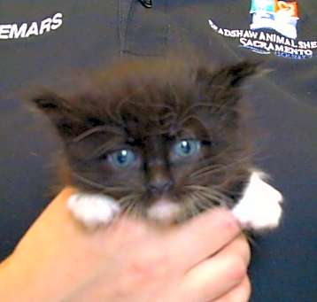 Photo of TATER